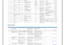 test your website and provide professional bug reports